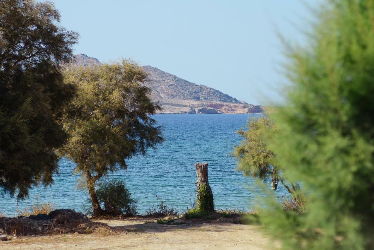 Seaside Paros - Naousa Exteriér fotografie
